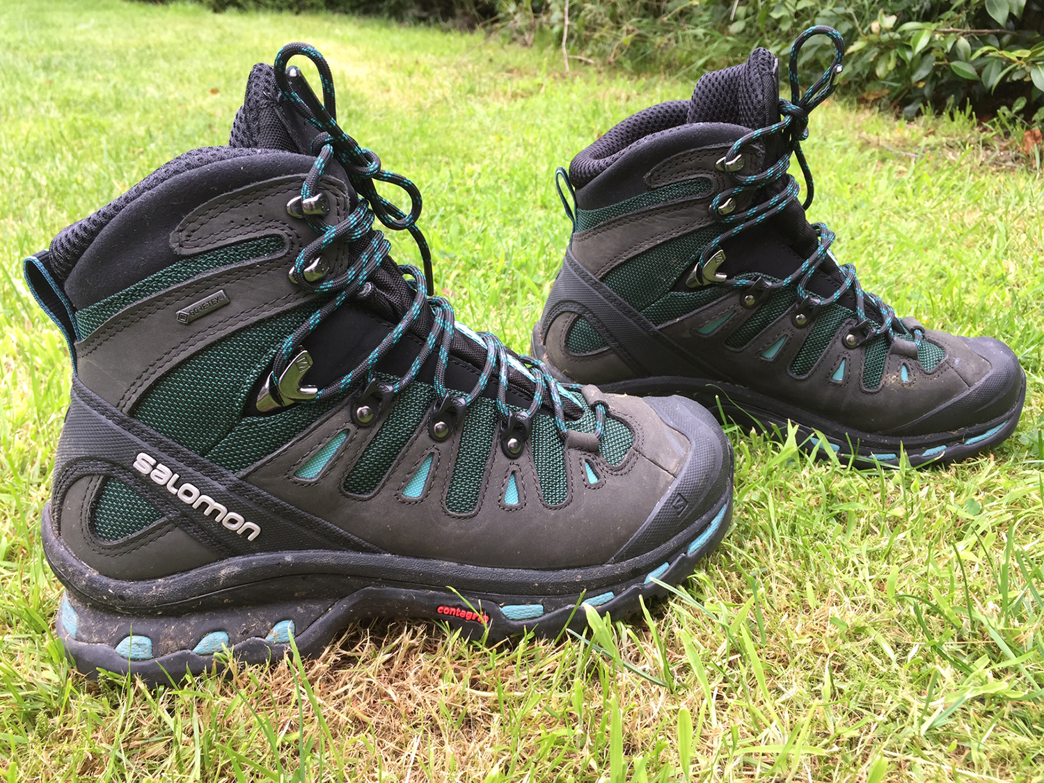 Ansigt opad Få chap Rambling With The Dog in the Salomon Quest 4D Women's Walking Boot