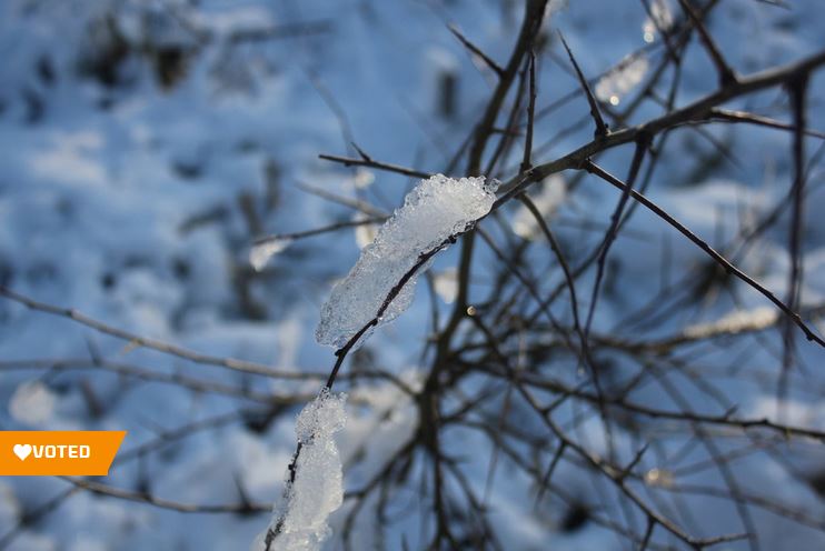 Winter DFDS Shortlist