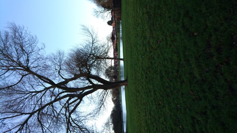 New Year's Day Walton Hall Park Walk