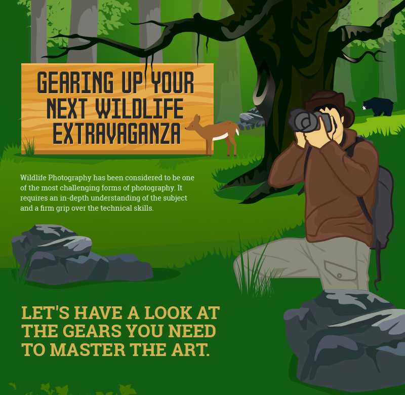 Gear for wildlife photography