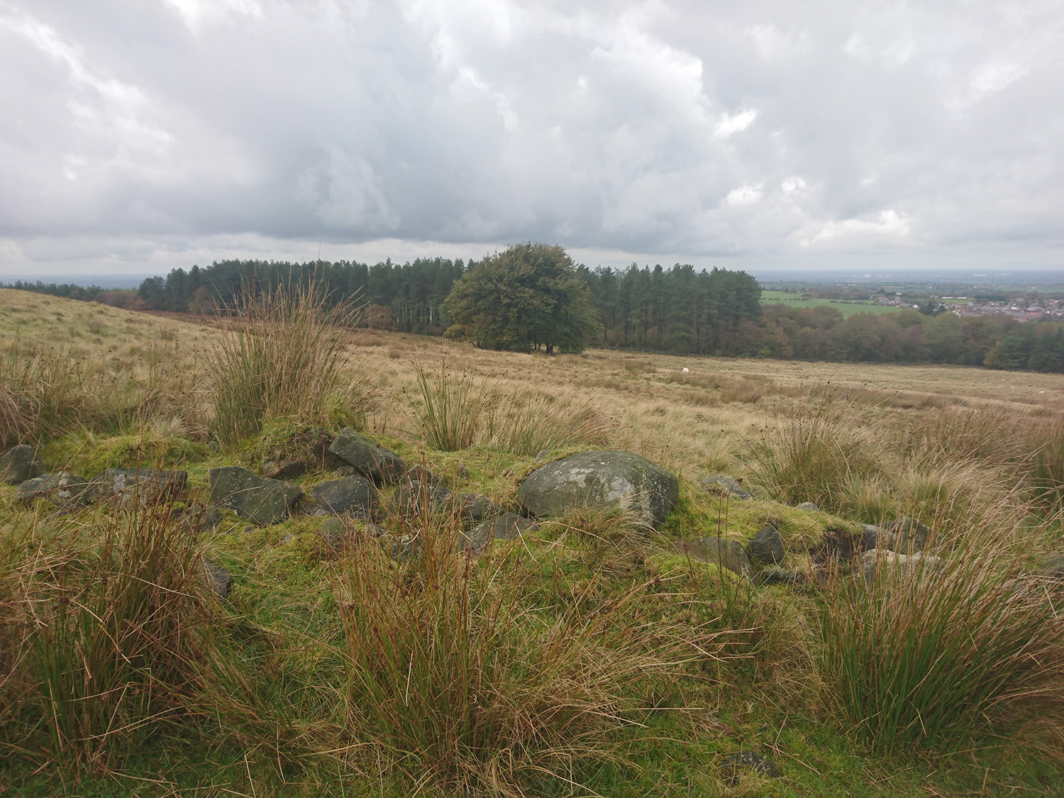 Walking Brinscall via White Coppice to Great Hill