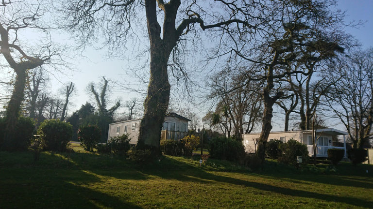 Heligan Woods Caravan & Camping, Cornwall