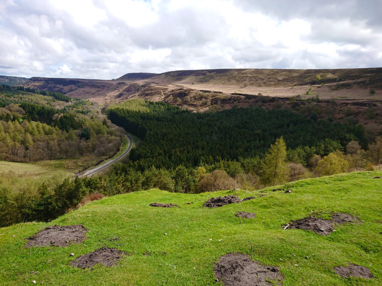The stunning views from Skelton Tower