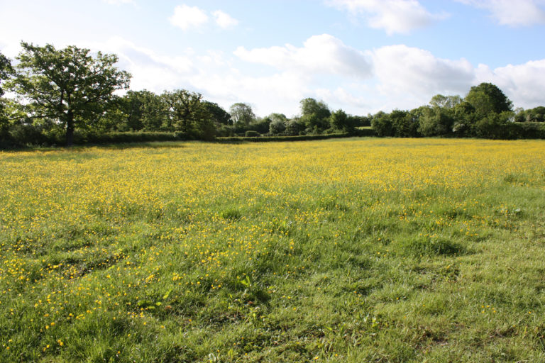 Swallowfields glamping