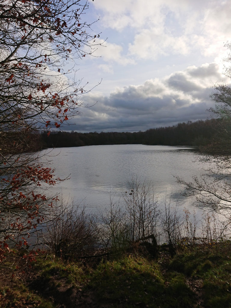 Brereton Heath Nature Reserve in Cheshire