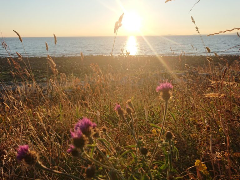 nature