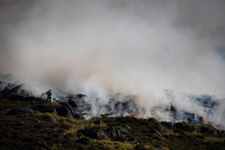 NEWS | Why We Need To Rethink Our Use of Disposable Barbecues