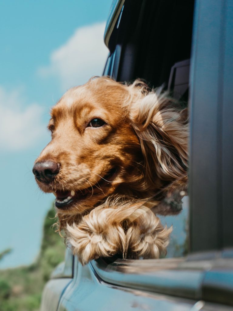 Photo by Ja San Miguel on Unsplash