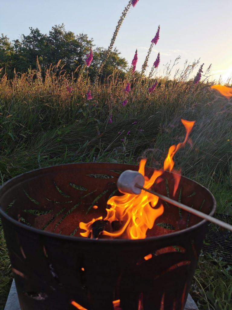 Campfire at Cae Lal camping and glamping
