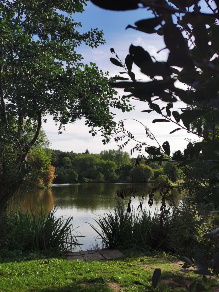 Church Stretton Camp & Fish campsite review Shropshire