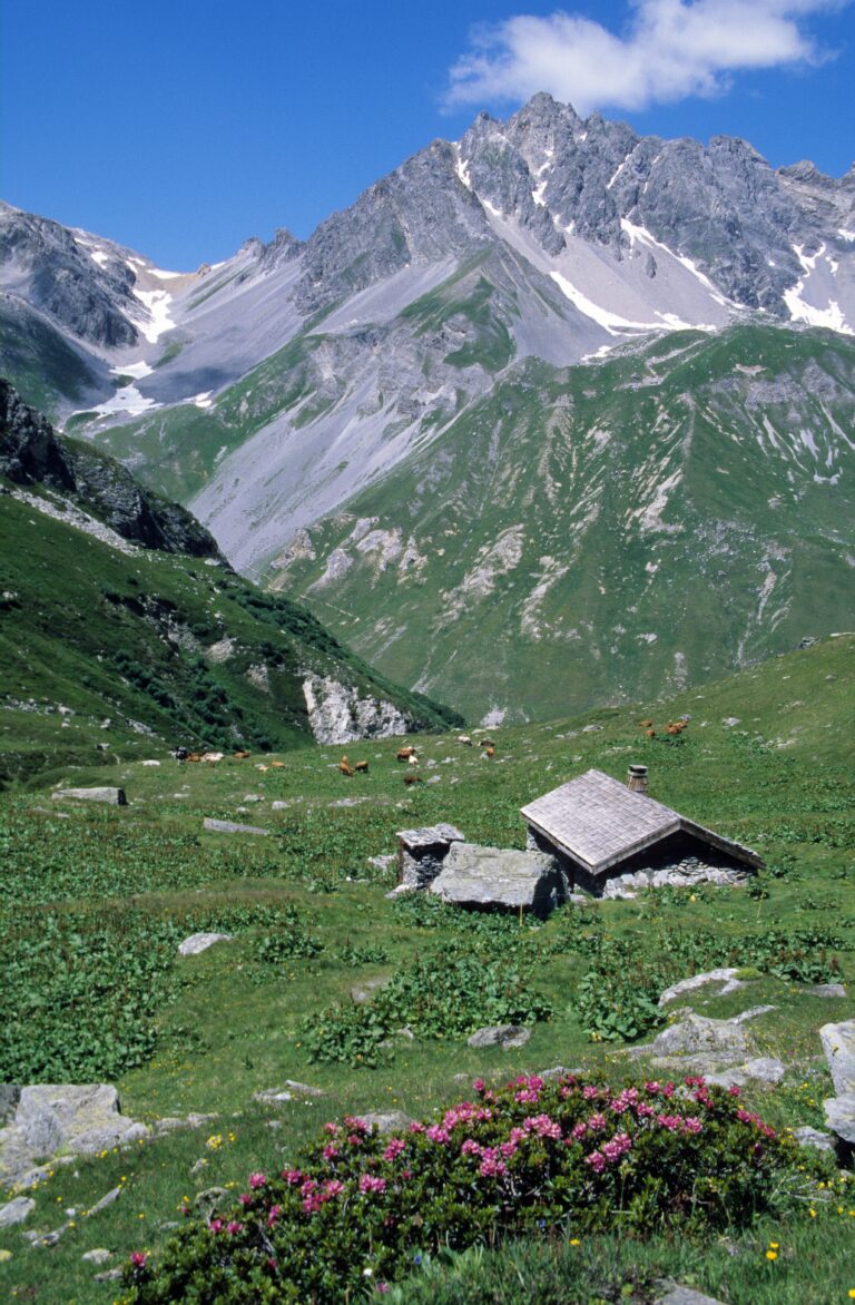 Step-by-Step Guide to Camping Holidays in France