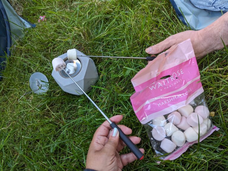 Table top portable fire pit