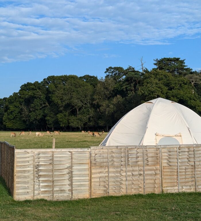 Long Meadow Campsite Glamping The New Forest