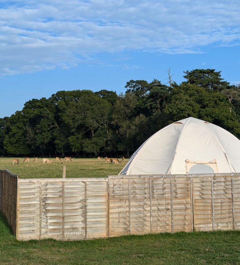Long Meadow Campsite Glamping The New Forest