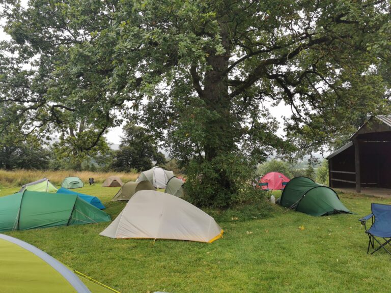 Tents set up under a tree.
