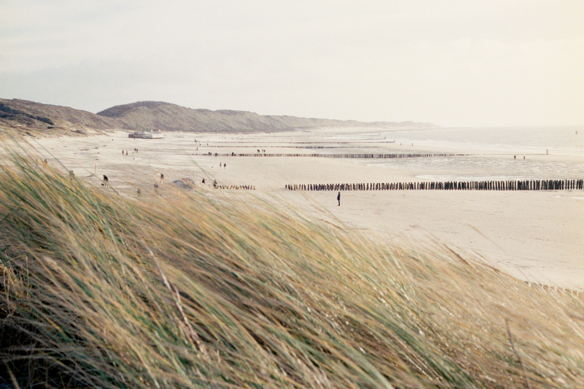 Photo by Chris Weiher on Unsplash