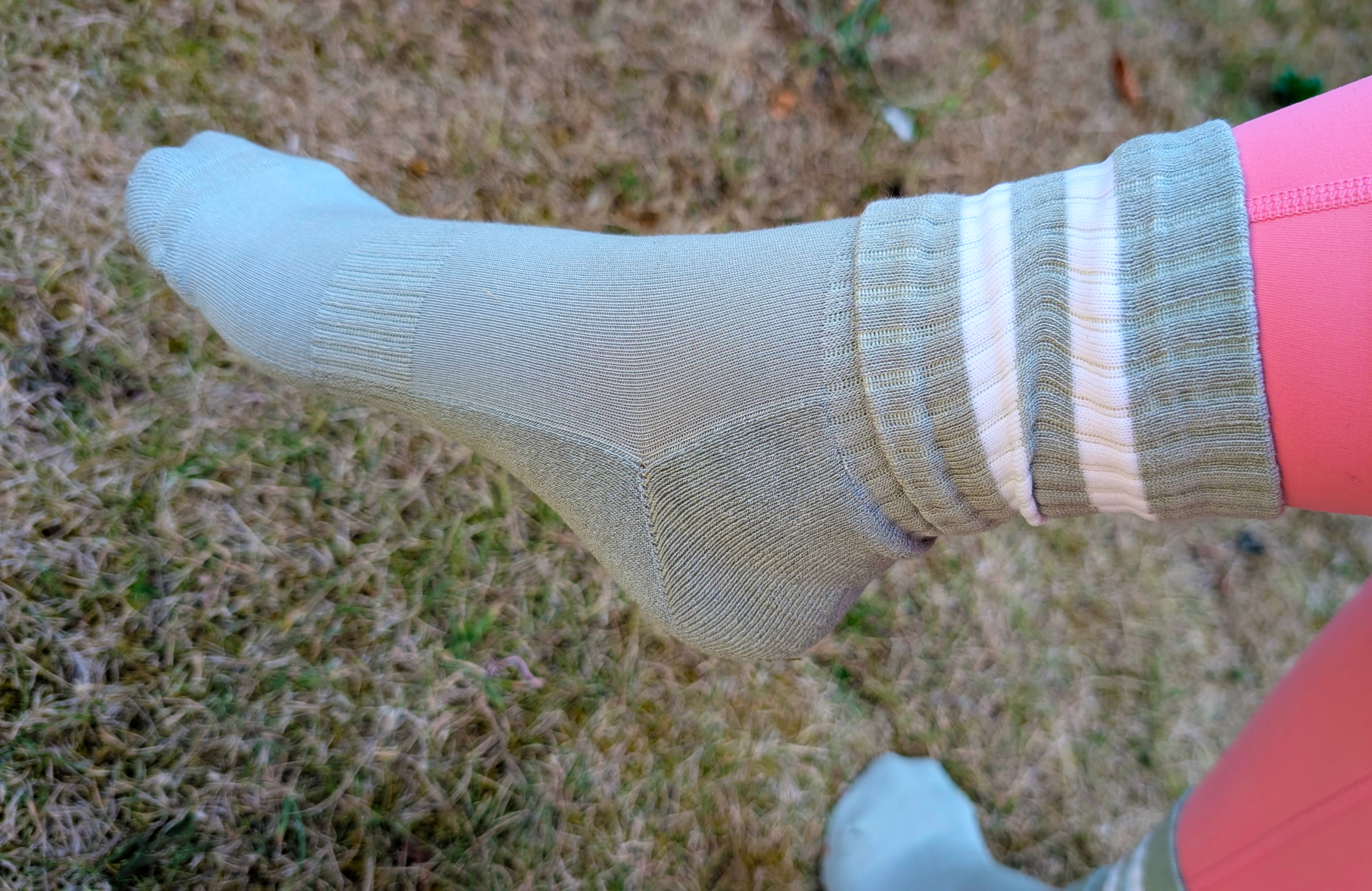 Panda food bamboo socks review