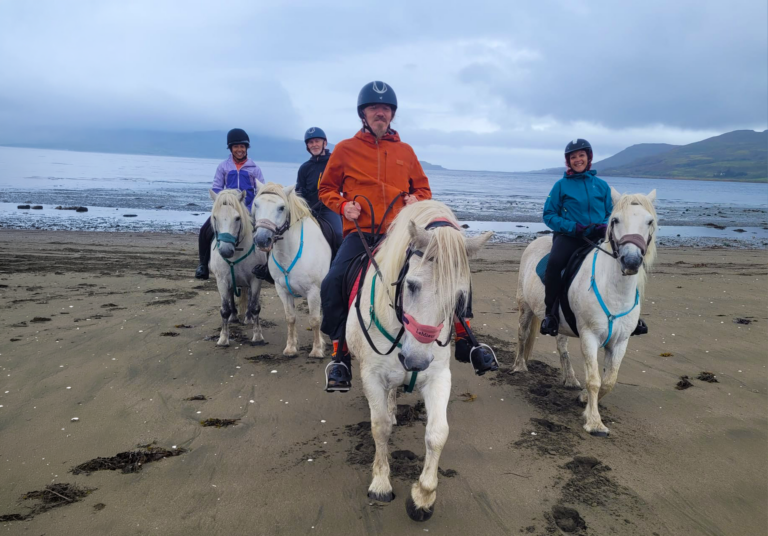 Mull Pony Trekking
